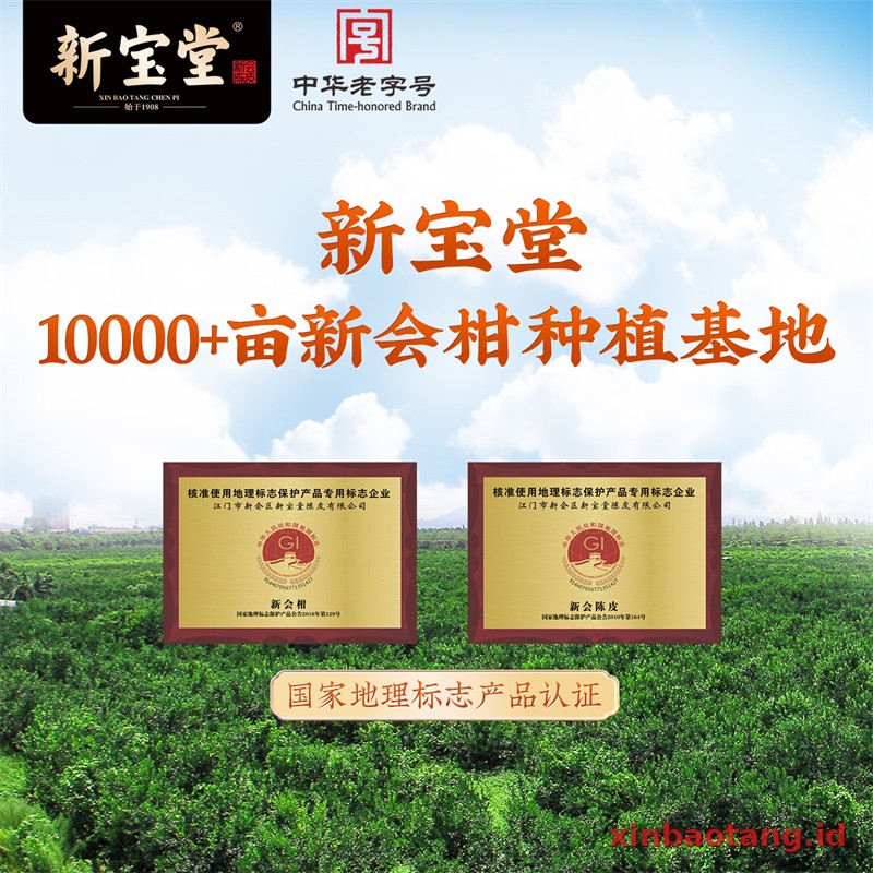 Xinbaotang Chenpi Kering 15 Tahun Botol Kaca 250g - Gambar 3