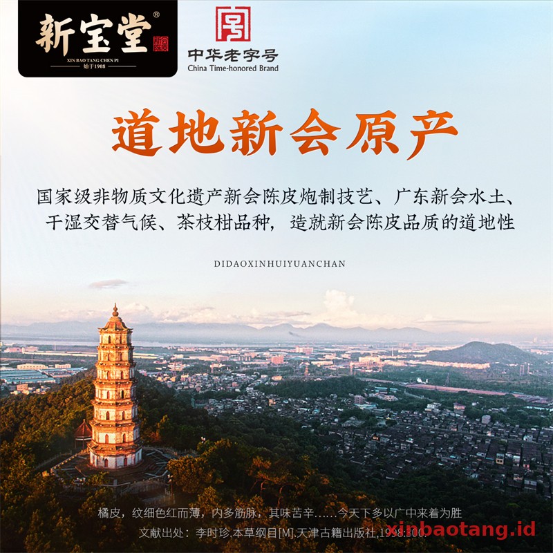 Xinbaotang Chenpi Kering 15 Tahun Botol Kaca 250g - Gambar 6