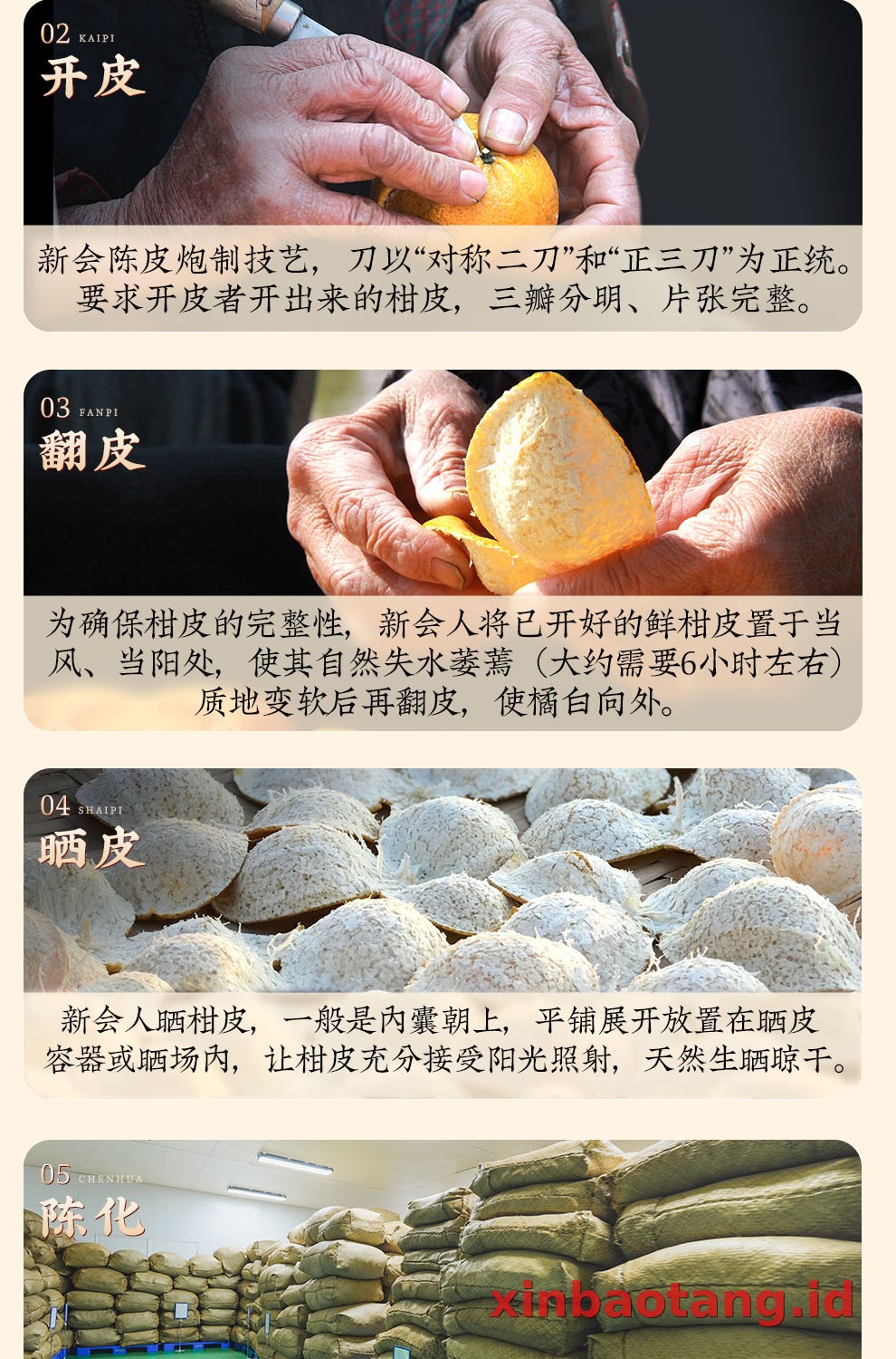 Xinbaotang Chenpi Kering 15 Tahun Gift Box 500g