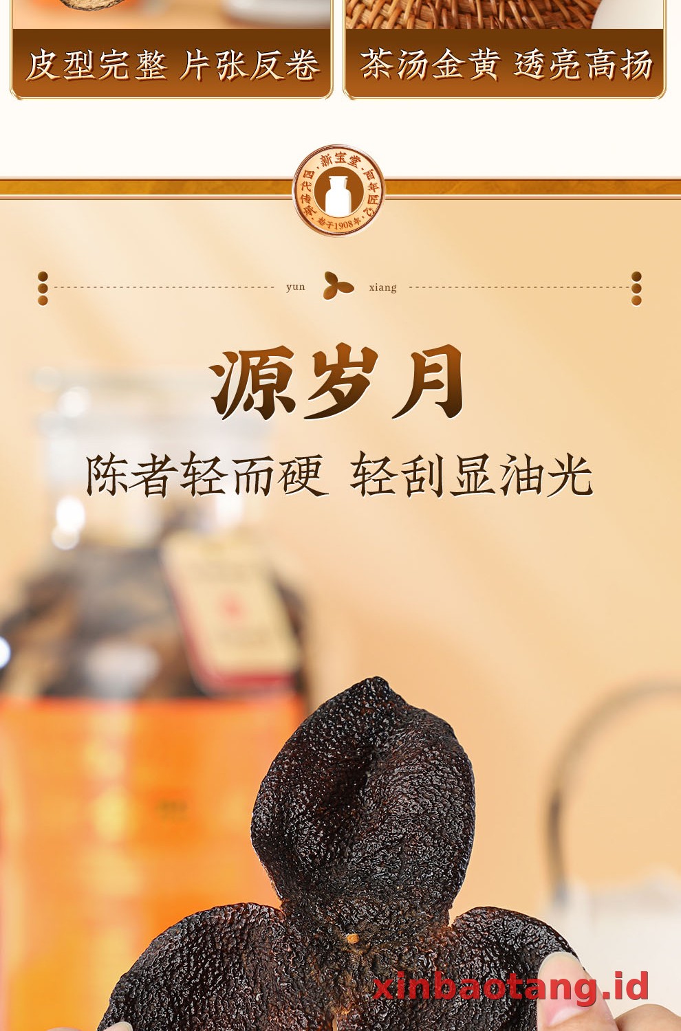 Xinbaotang Chenpi Kering 15 Tahun Gift Box 500g