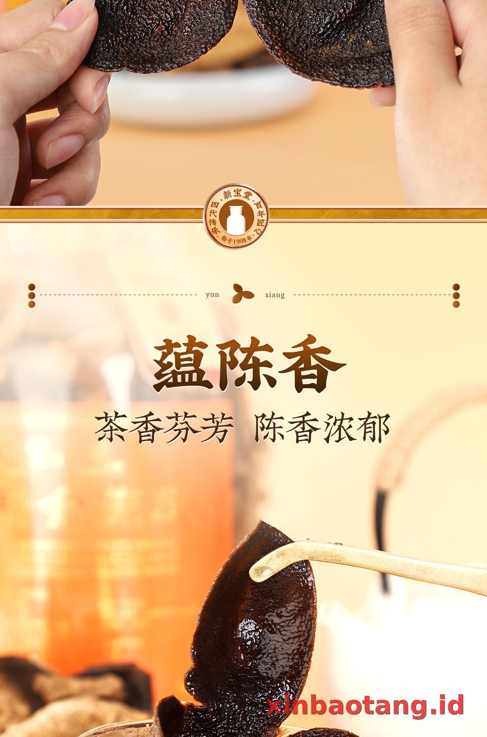 Xinbaotang Chenpi Kering 15 Tahun Gift Box 500g
