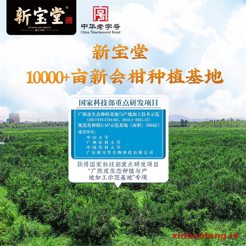 Xinbaotang Chenpi Kering Kristal 50g - Gambar 2