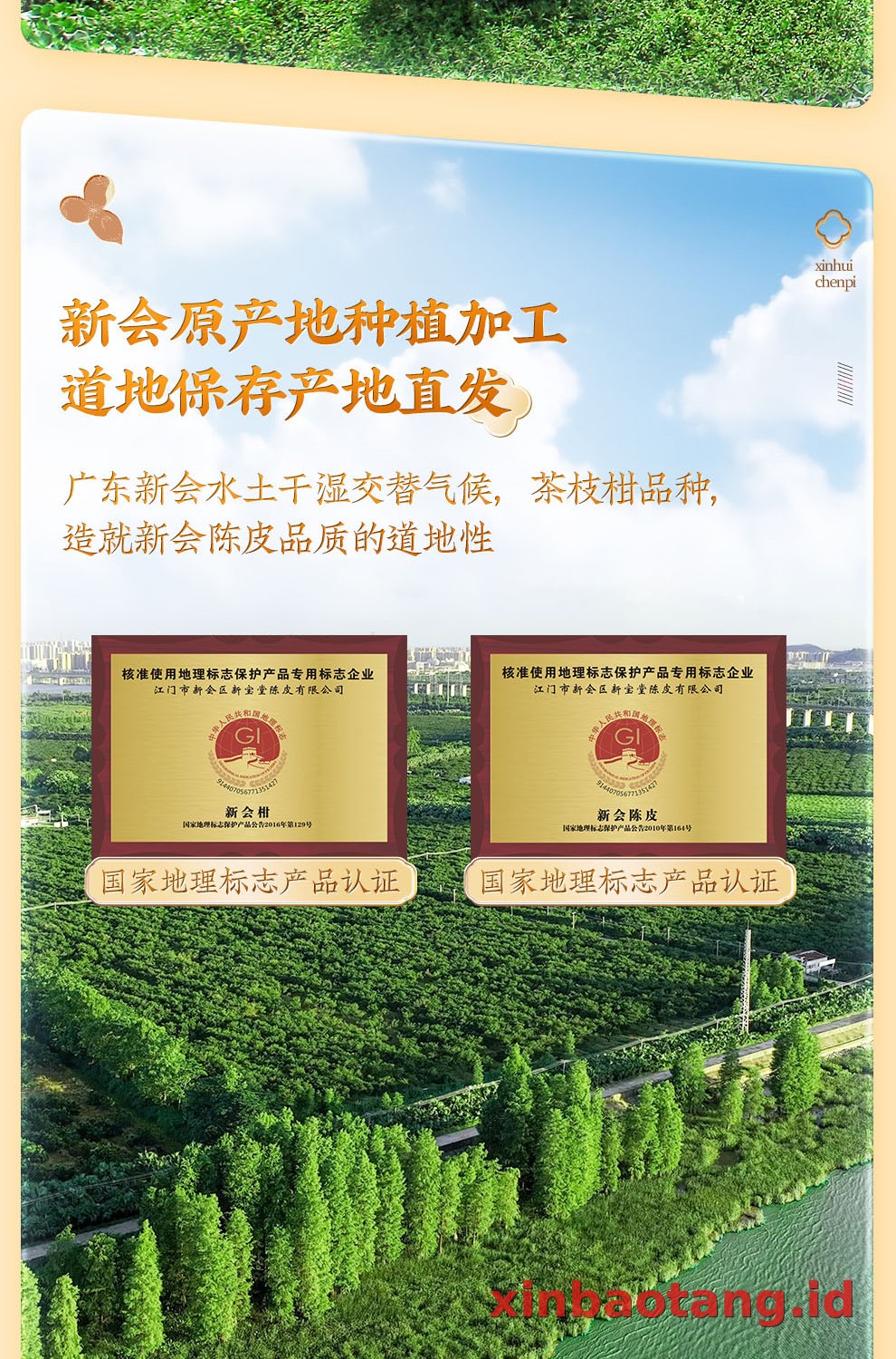Xinbaotang Chenpi Kering Kristal 50g