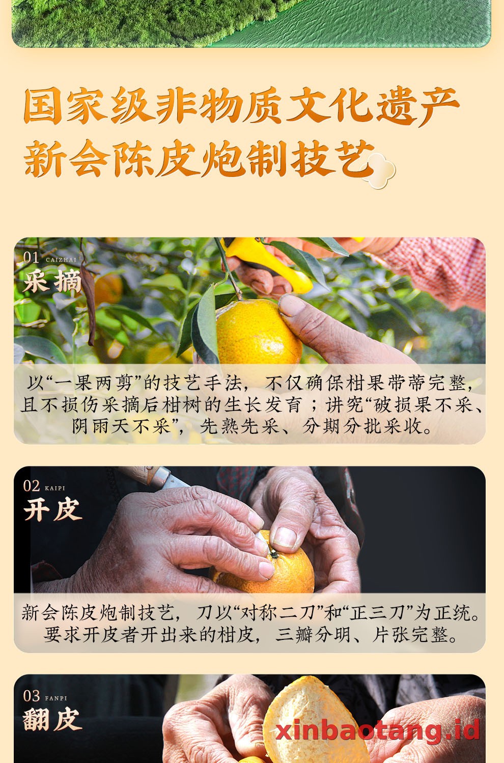 Xinbaotang Chenpi Kering Kristal 50g