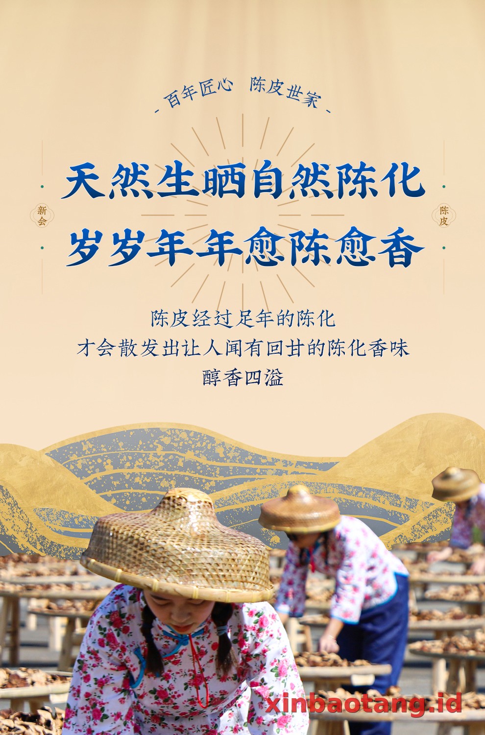 Xinbaotang Rajangan Chenpi Gift Box 200g