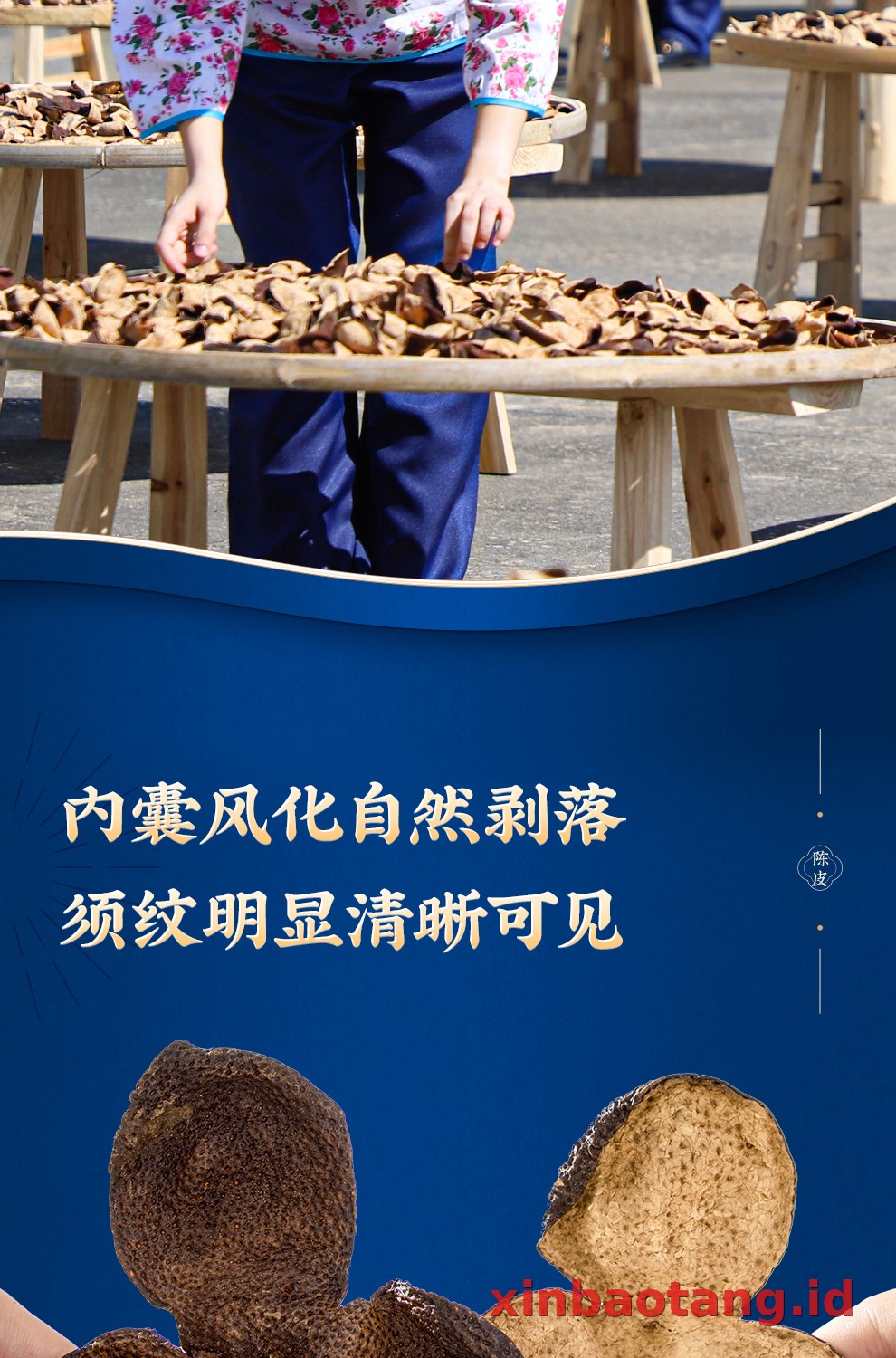 Xinbaotang Rajangan Chenpi Gift Box 200g
