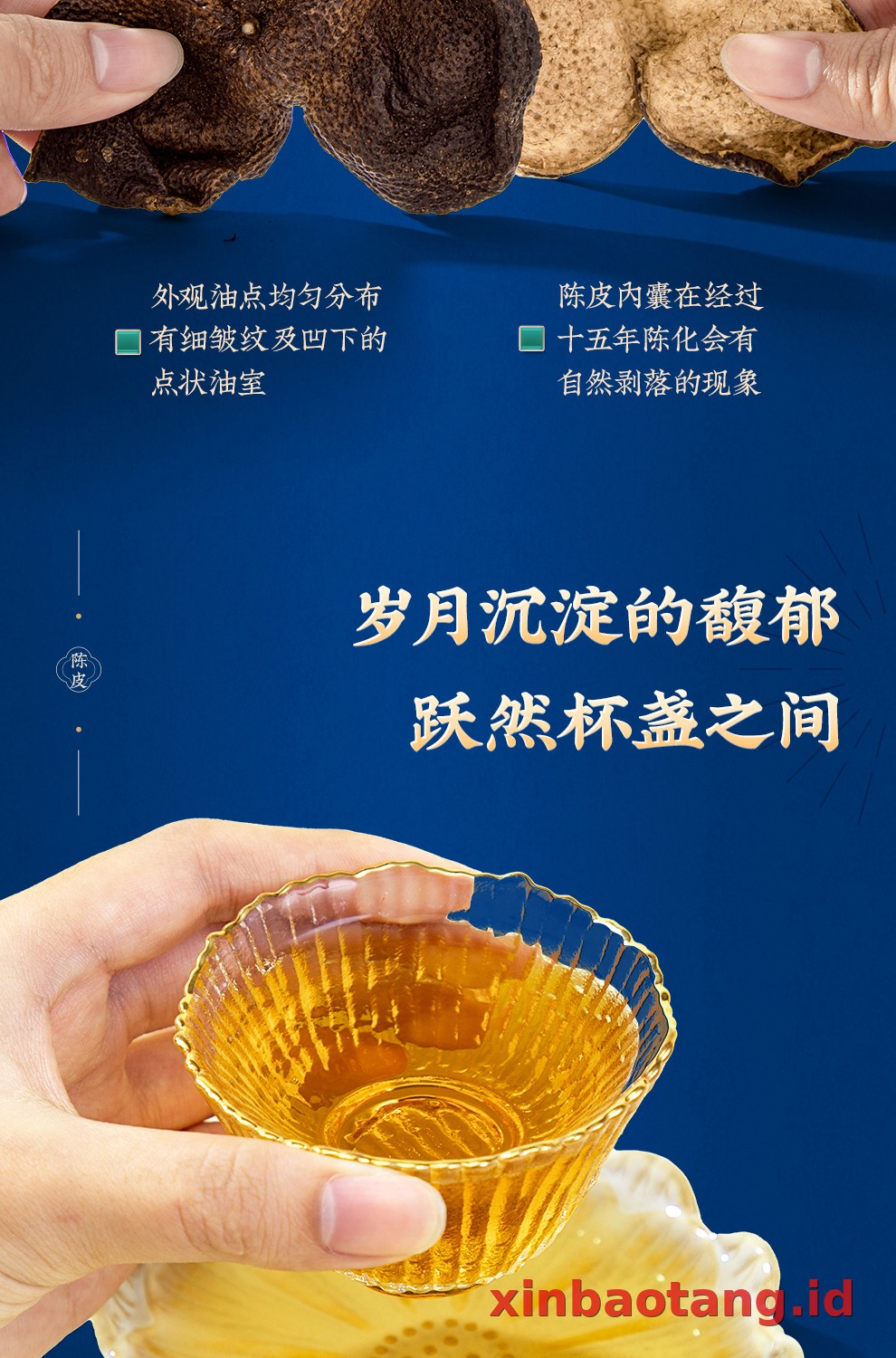 Xinbaotang Rajangan Chenpi Gift Box 200g
