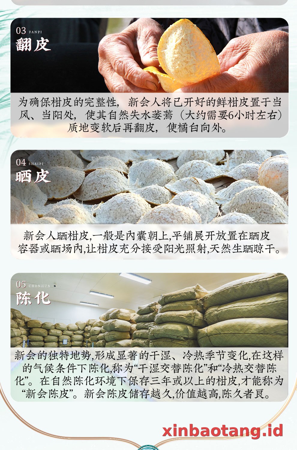 Xinbaotang Chenpi Kering 18 Tahun Porselen Biru-Putih 100g