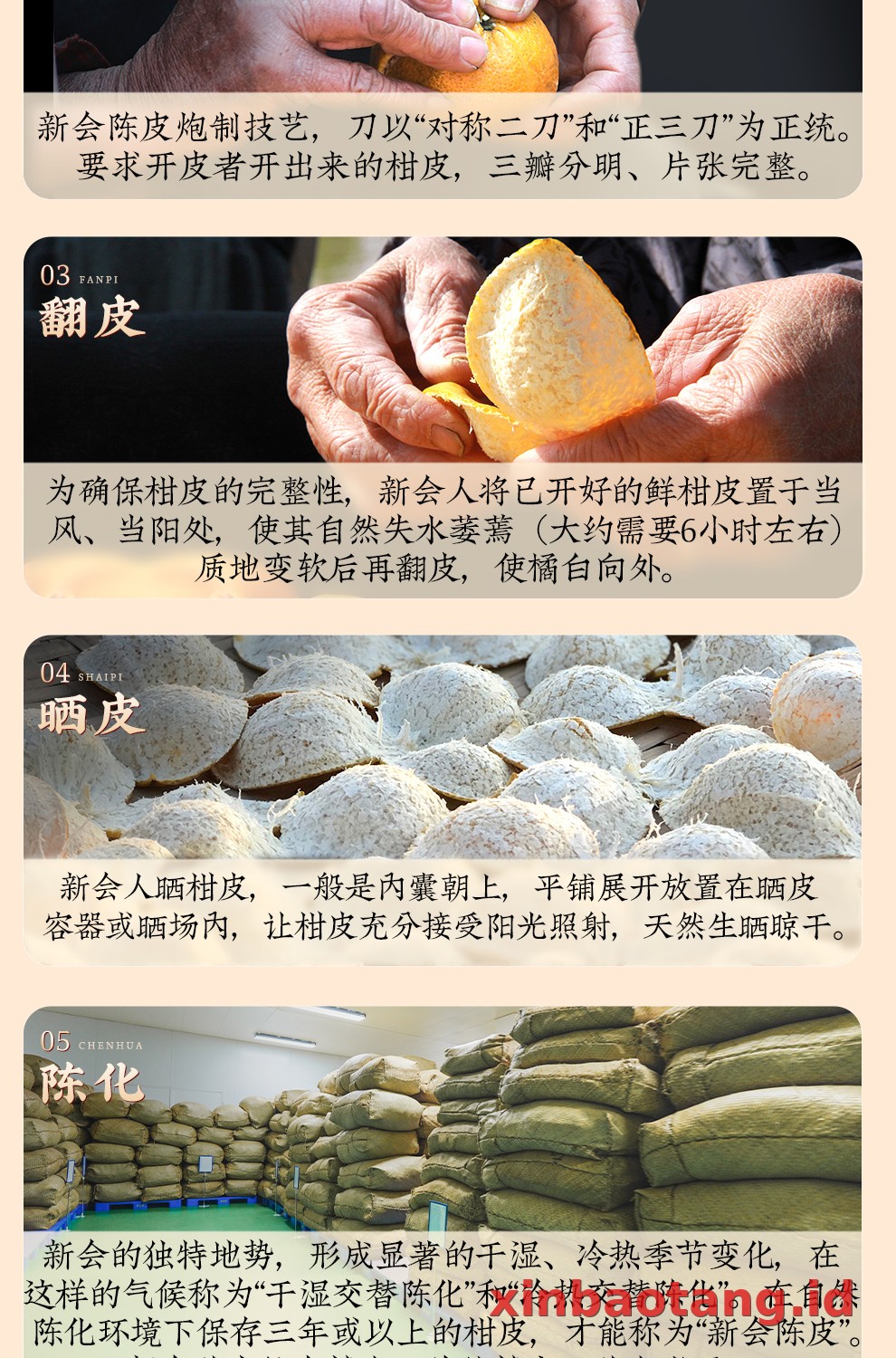 Xinbaotang Chenpi Kering 20 Tahun Gift Box 500g