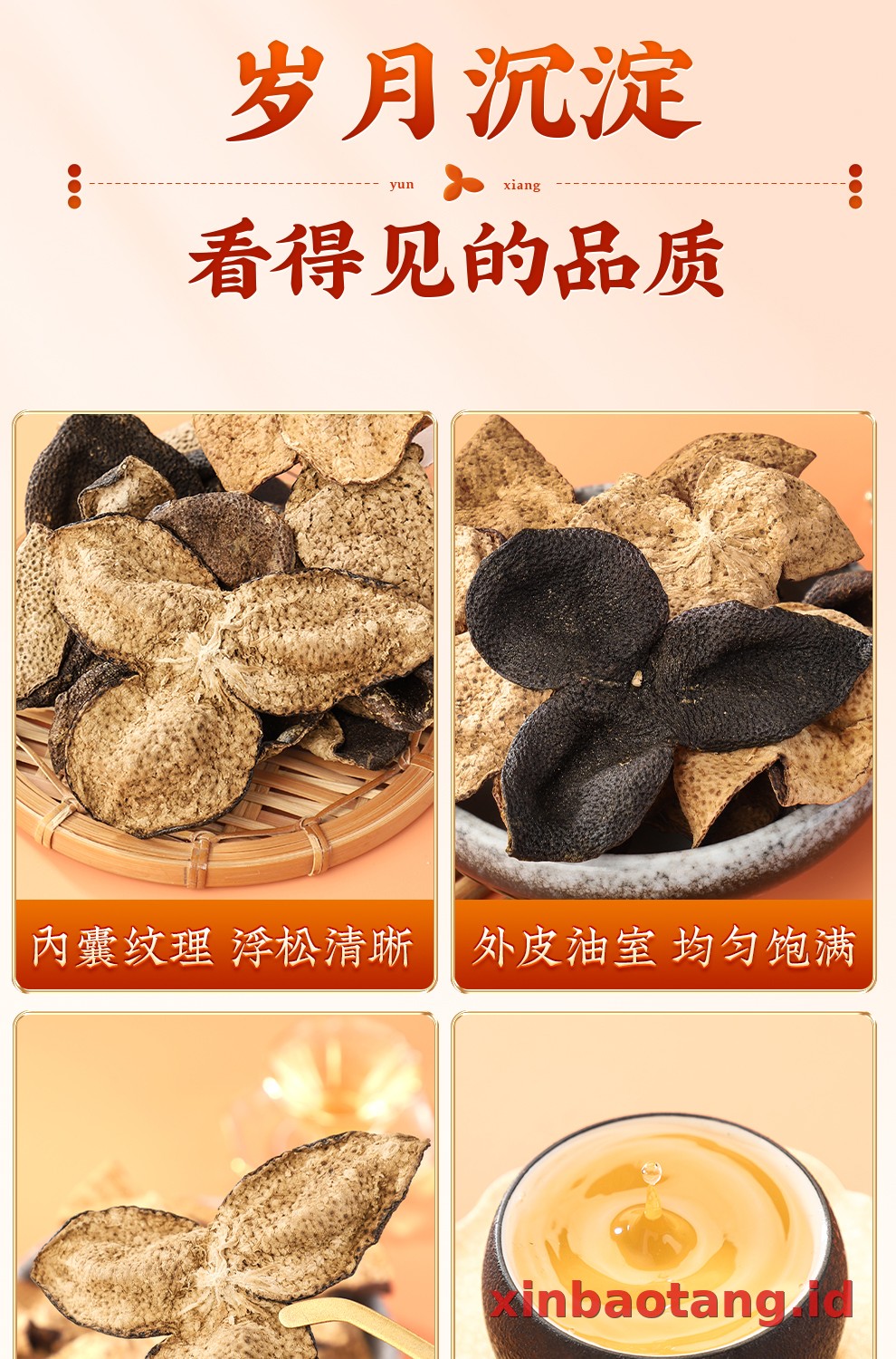 Xinbaotang Chenpi Kering 20 Tahun Gift Box 500g
