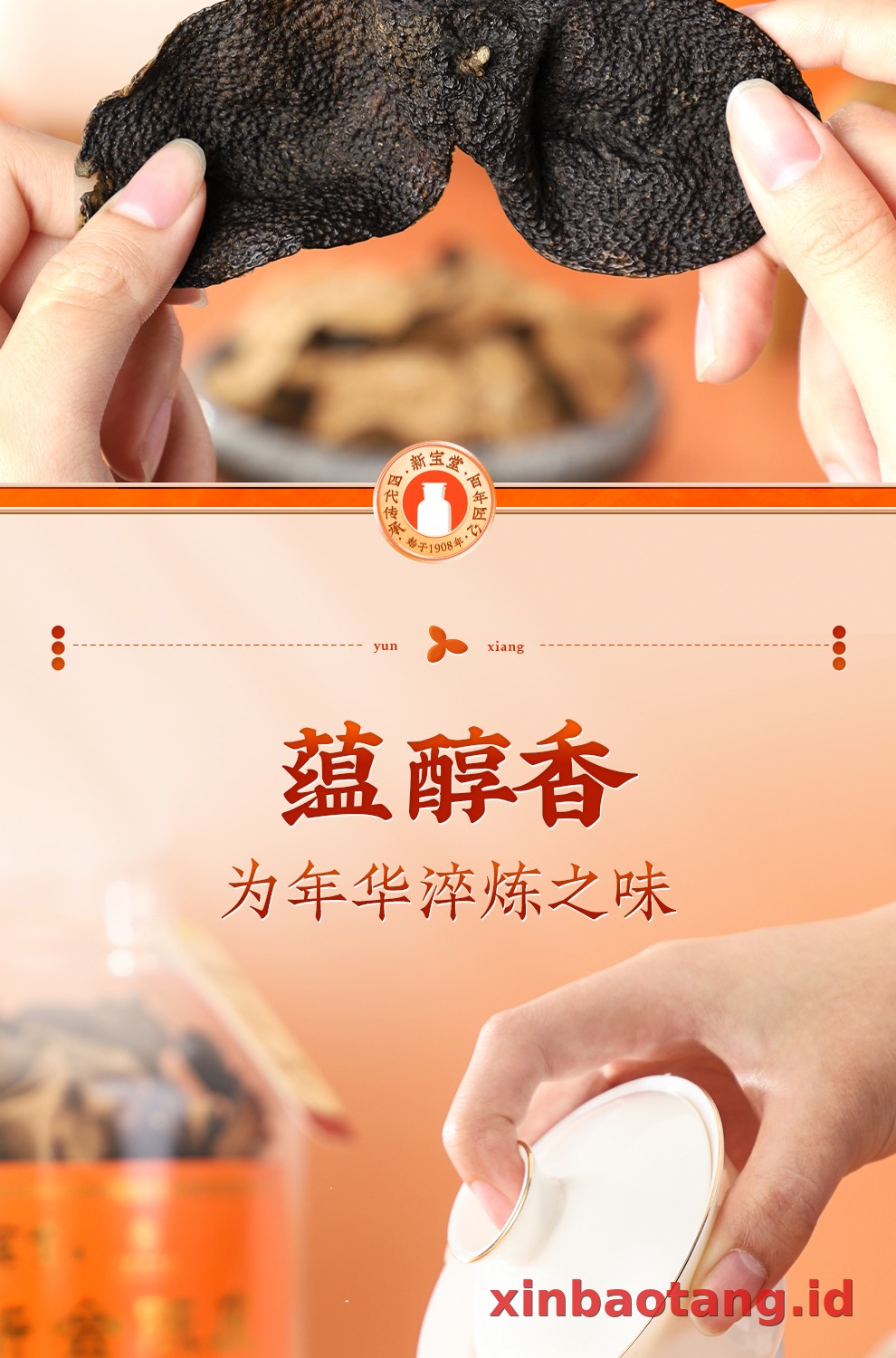 Xinbaotang Chenpi Kering 20 Tahun Gift Box 500g