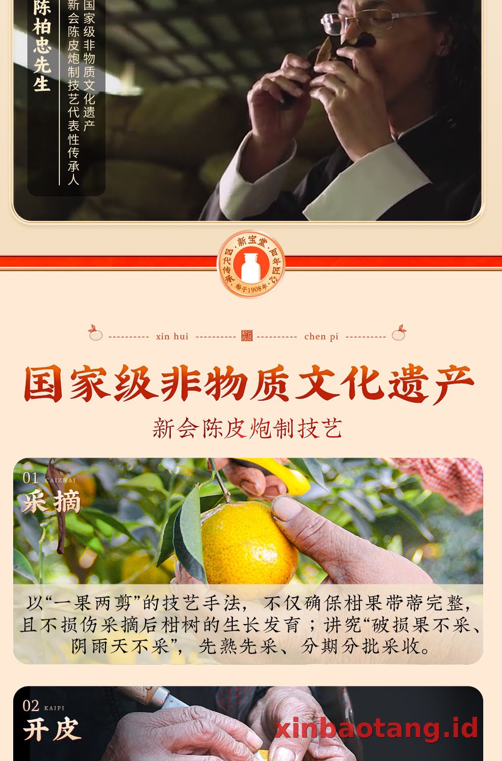 Xinbaotang Chenpi Kering 20 Tahun Gift Box 500g