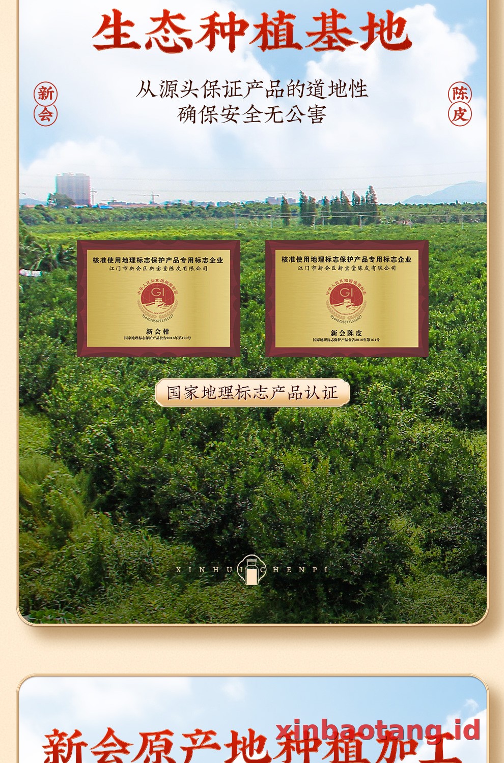 Xinbaotang Chenpi Kering 20 Tahun Gift Box 250g