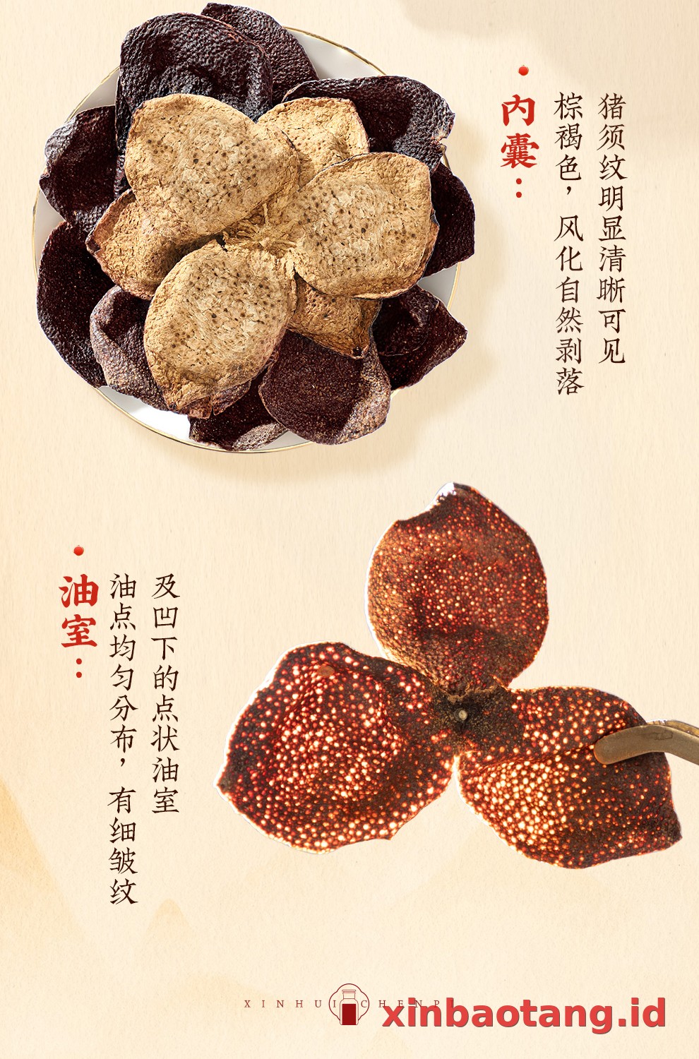 Xinbaotang Chenpi Kering 20 Tahun Gift Box 250g