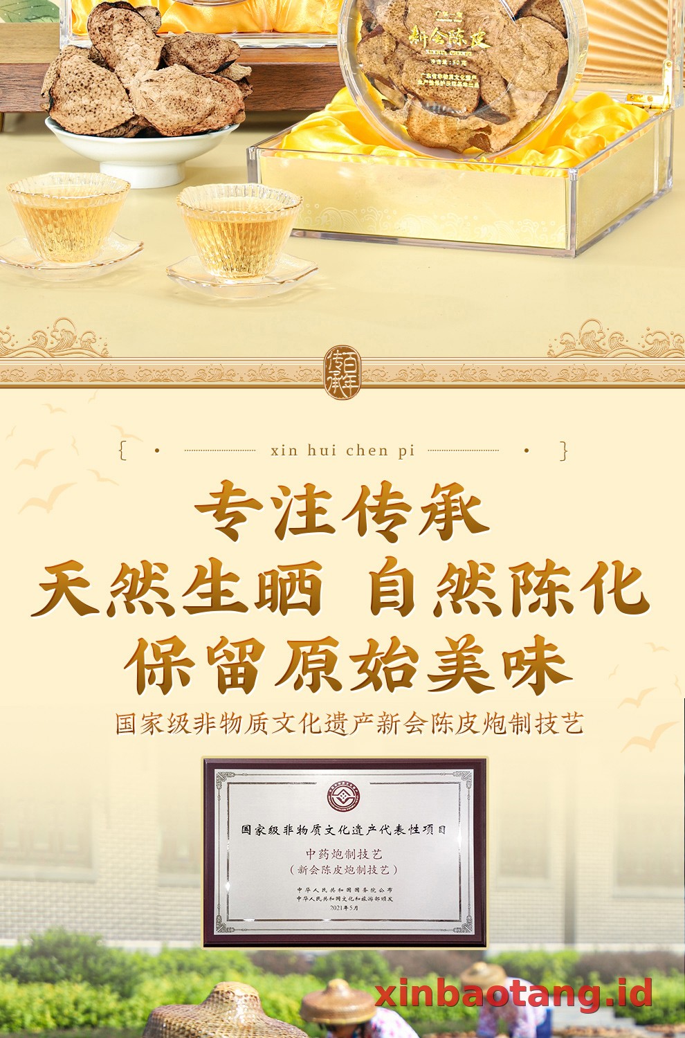 Xinbaotang Chenpi Kering 20 Tahun Gift Box 50g
