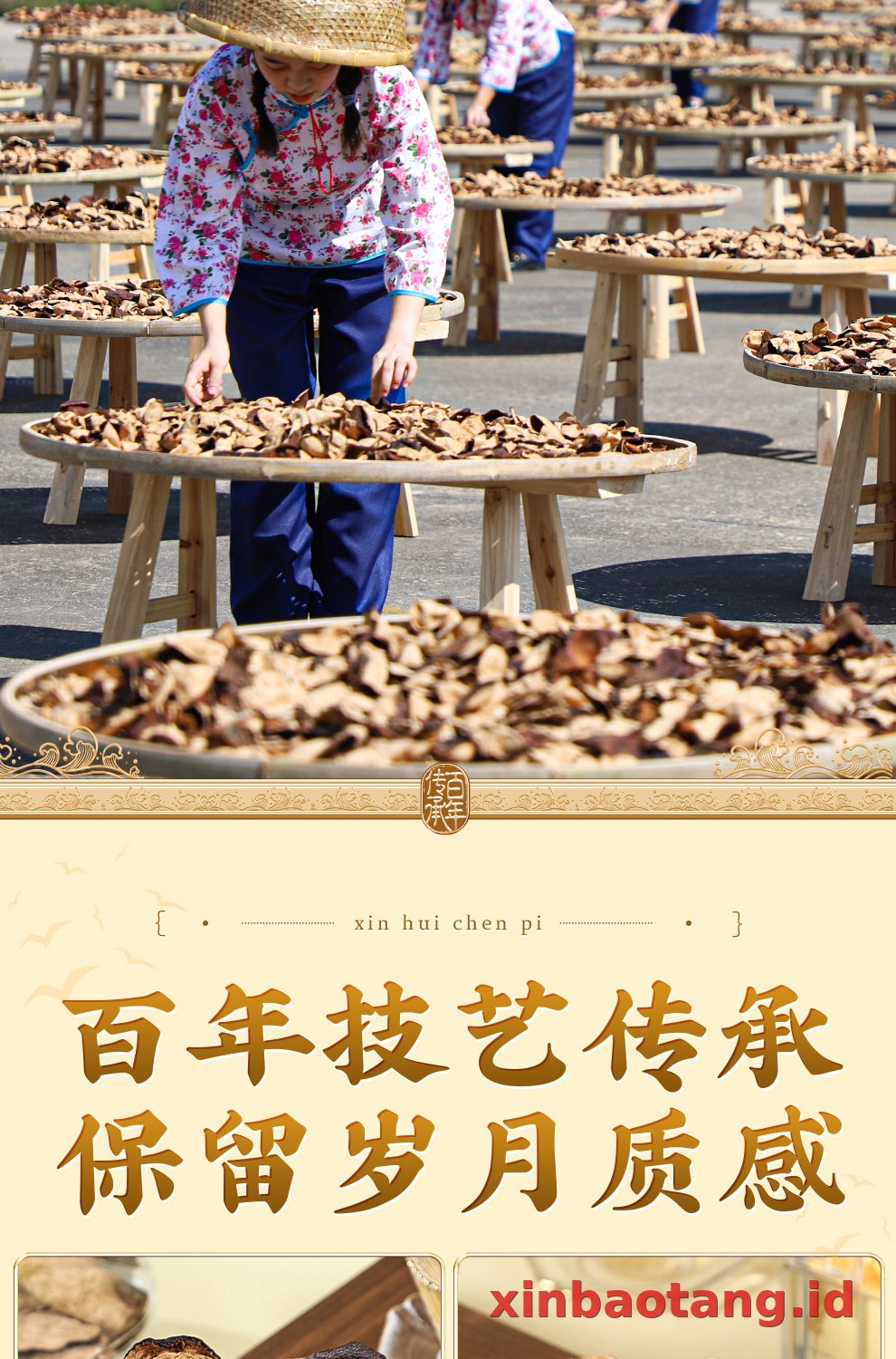 Xinbaotang Chenpi Kering 20 Tahun Gift Box 50g