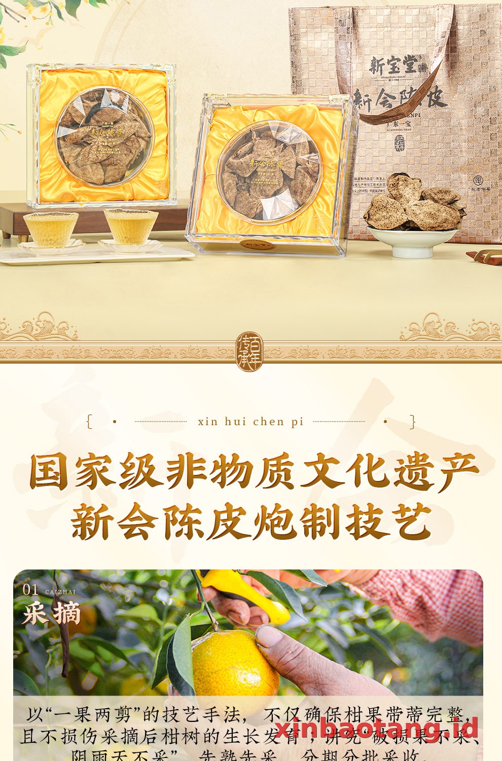 Xinbaotang Chenpi Kering 20 Tahun Gift Box 50g
