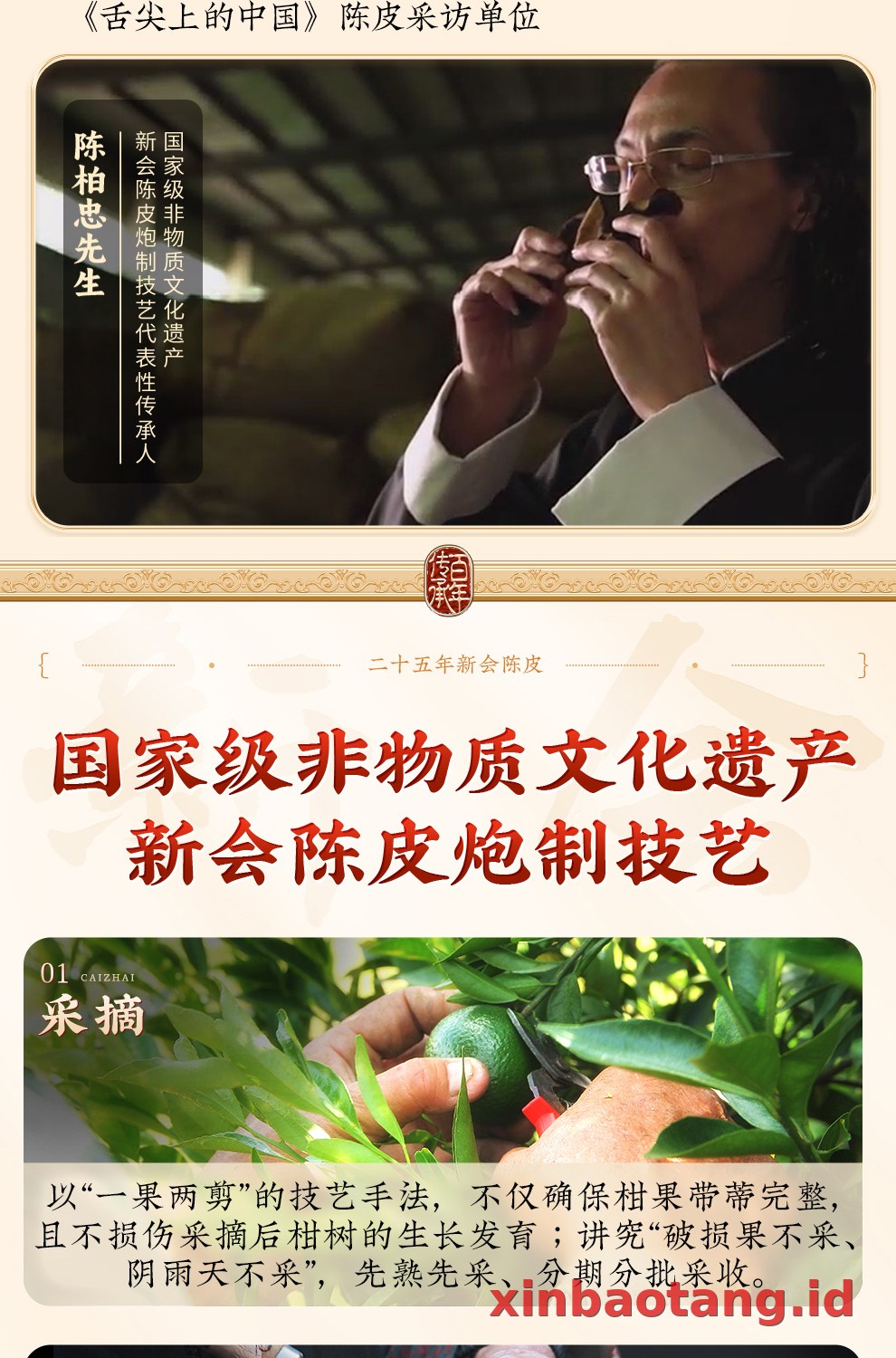 Xinbaotang Chenpi Kering 25 Tahun Gift Box 50g