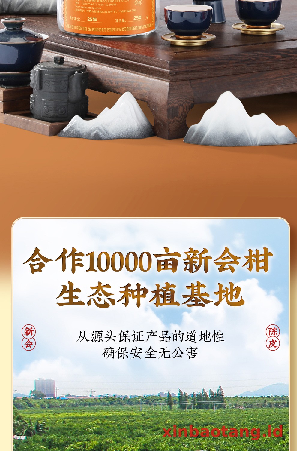 Xinbaotang Chenpi Kering 25 Tahun Gift Box 250g