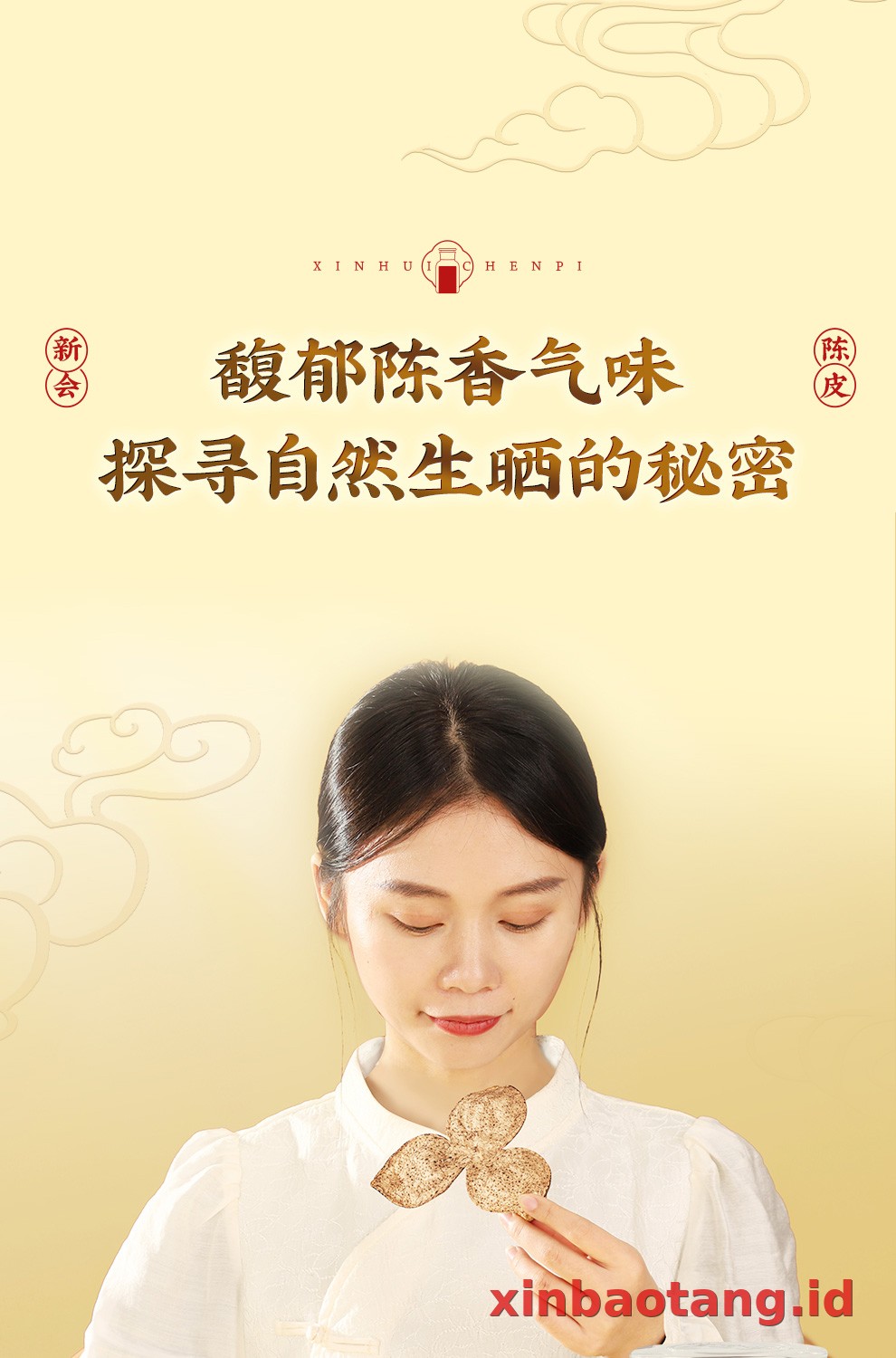 Xinbaotang Chenpi Kering 25 Tahun Gift Box 250g