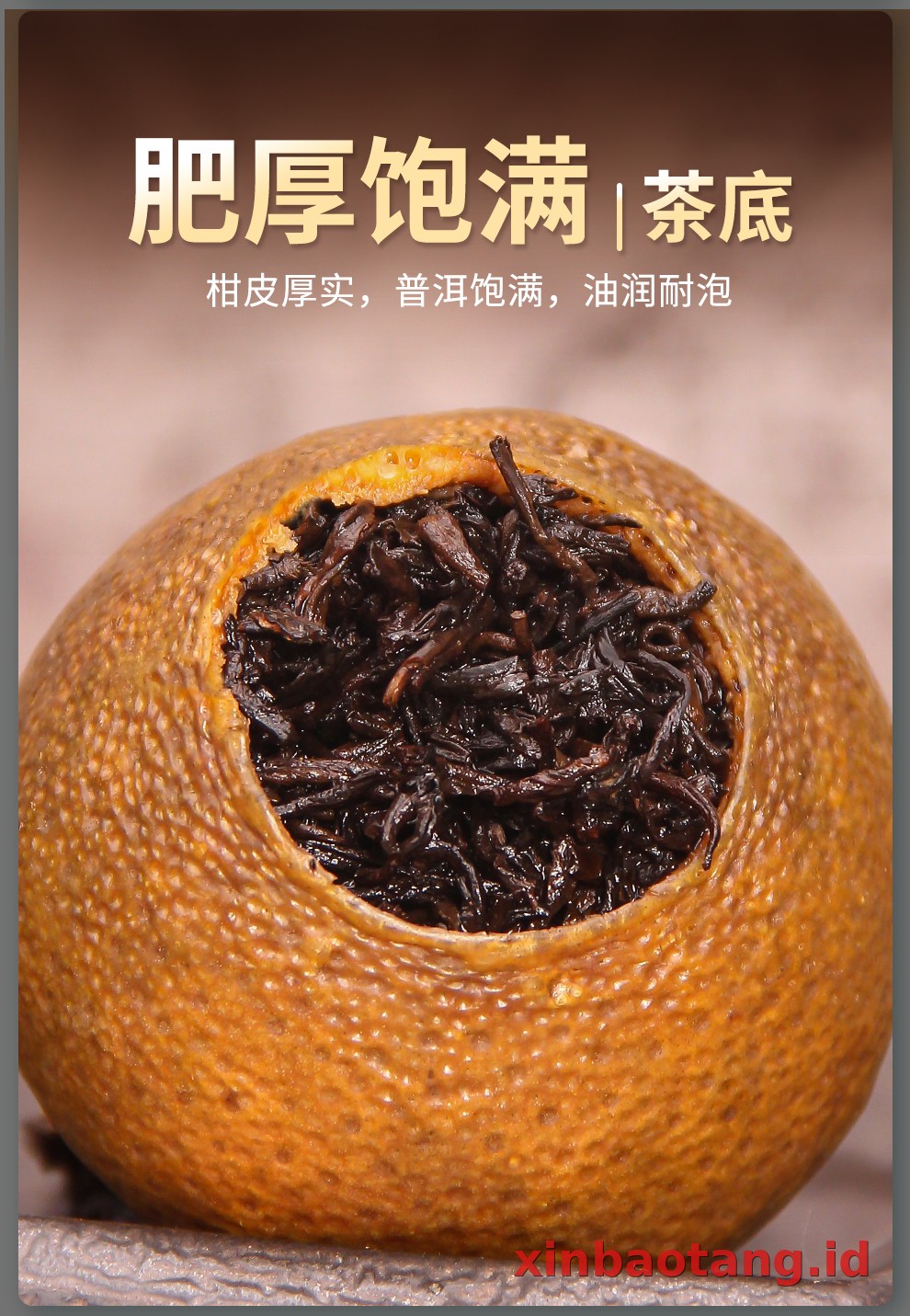 Xinbaotang Ganpu Teh Da Hong Gan 30g