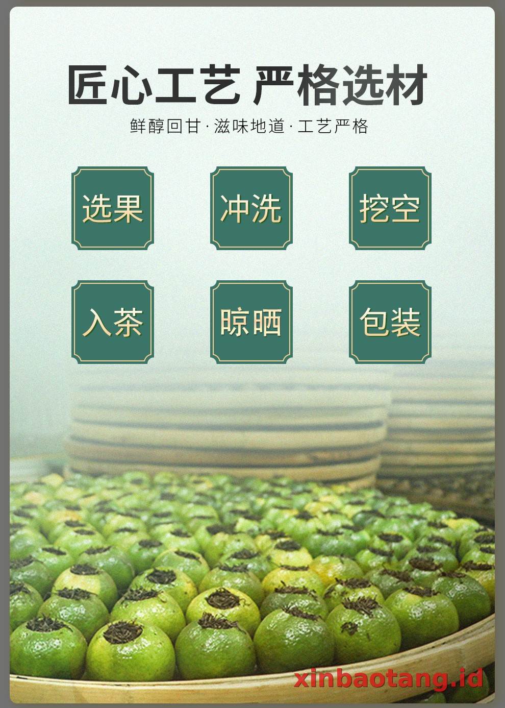 Xinbaotang Ganpu Teh Da Hong Gan 30g