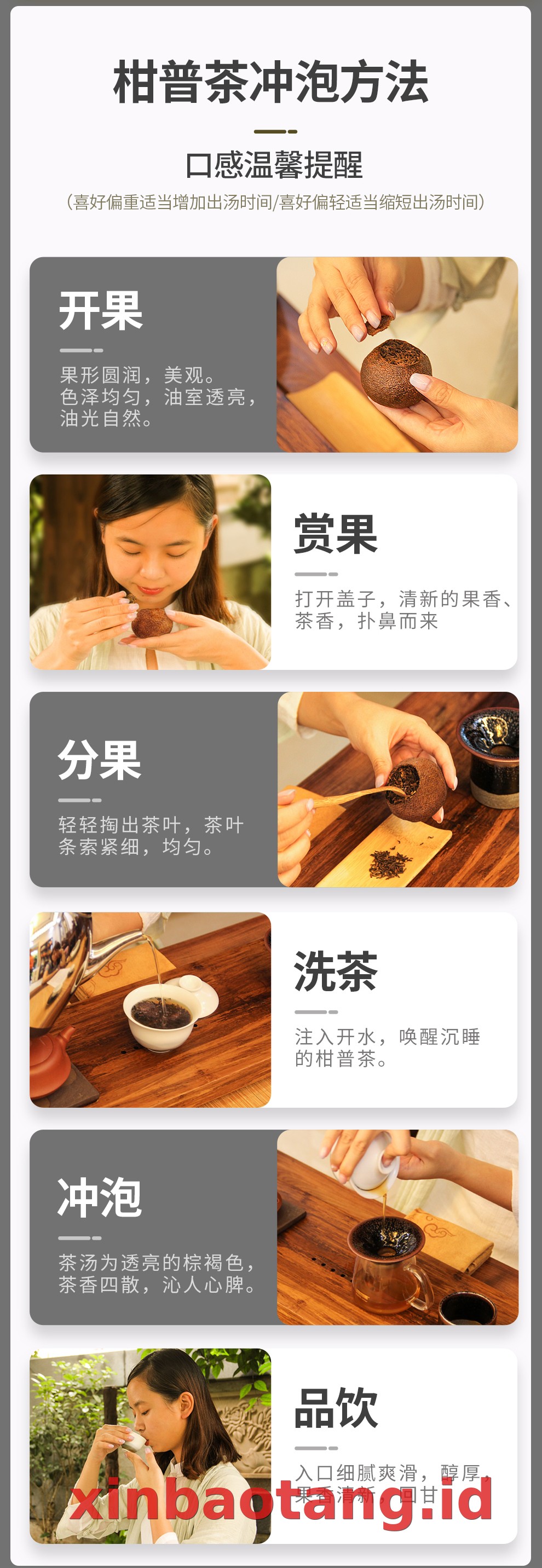 Xinbaotang Ganpu Teh Da Hong Gan 30g