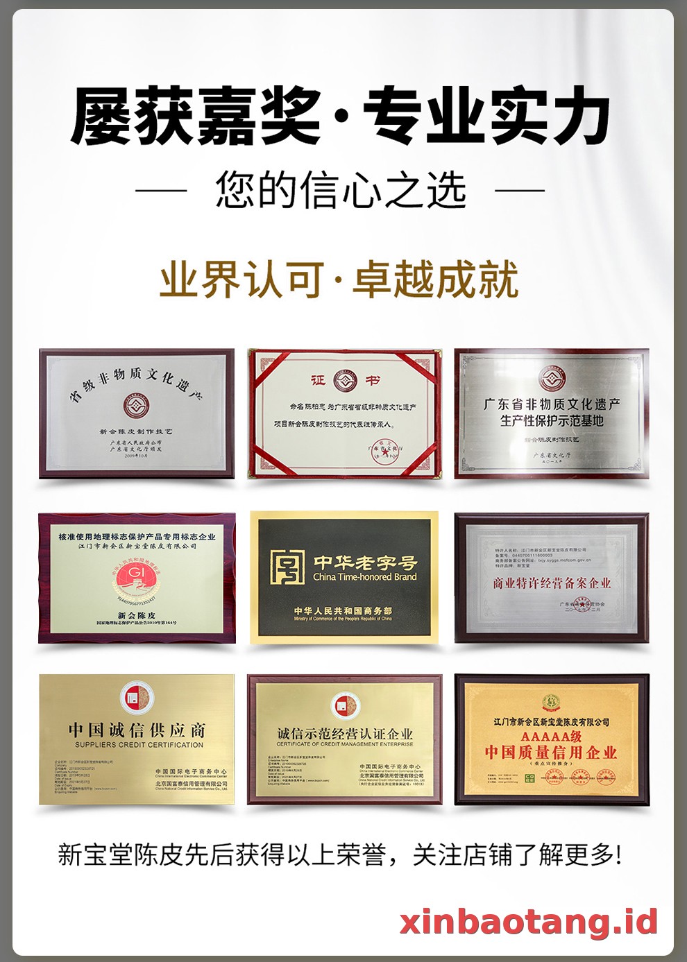 Xinbaotang Ganpu Teh Da Hong Gan 30g