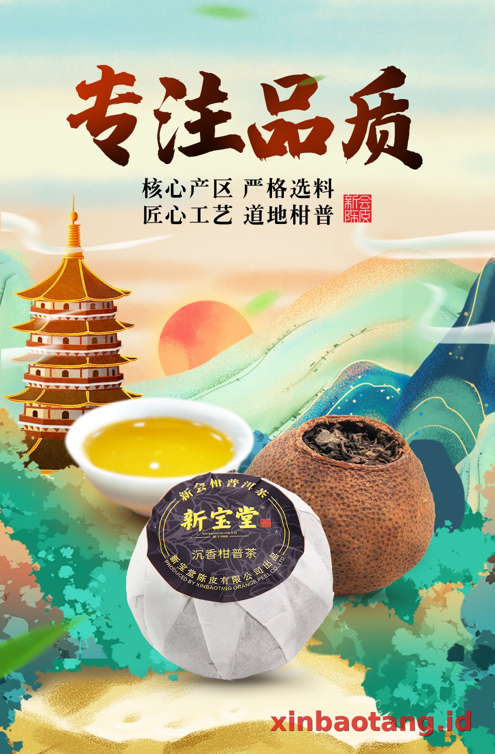 Xinbaotang Ganpu Teh Da Hong Gan 30g