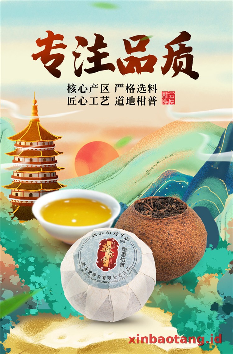 Xinbaotang Ganpu Teh Da Hong Gan 38g