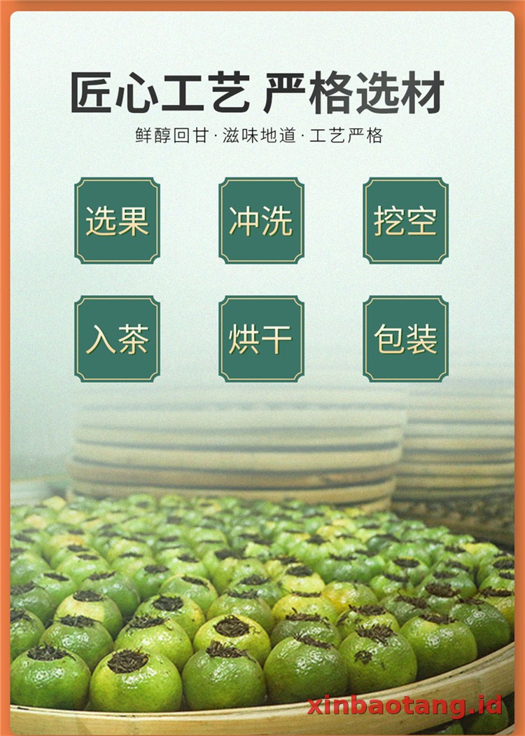 Xinbaotang Ganpu Teh Da Hong Gan 35g