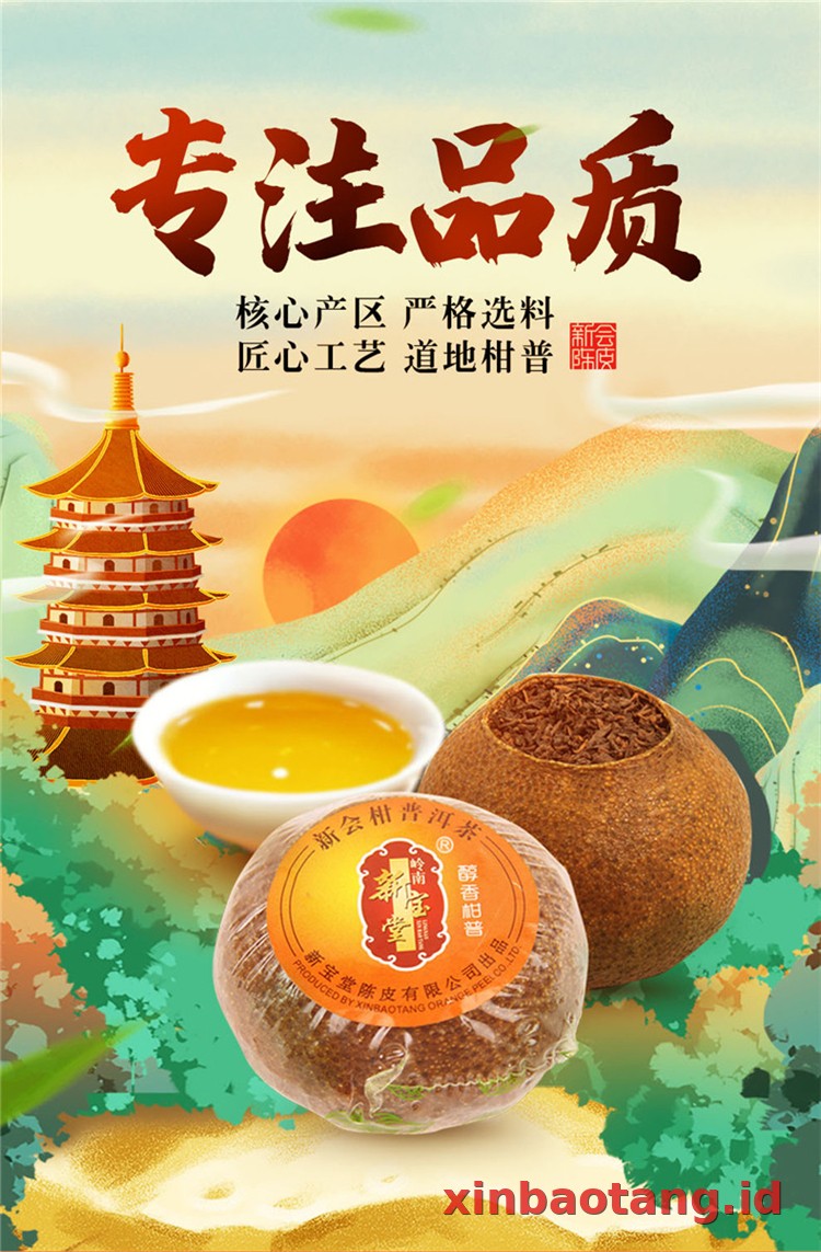 Xinbaotang Ganpu Teh Da Hong Gan 35g