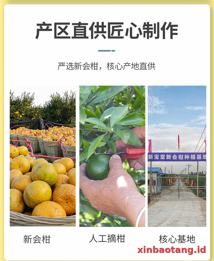 Xinbaotang Ganpu Teh Da Hong Gan 30g