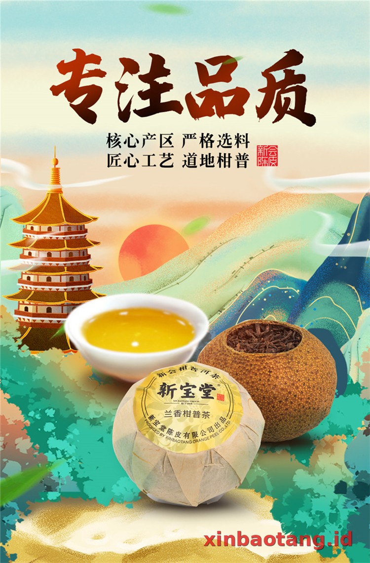 Xinbaotang Ganpu Teh Da Hong Gan 30g