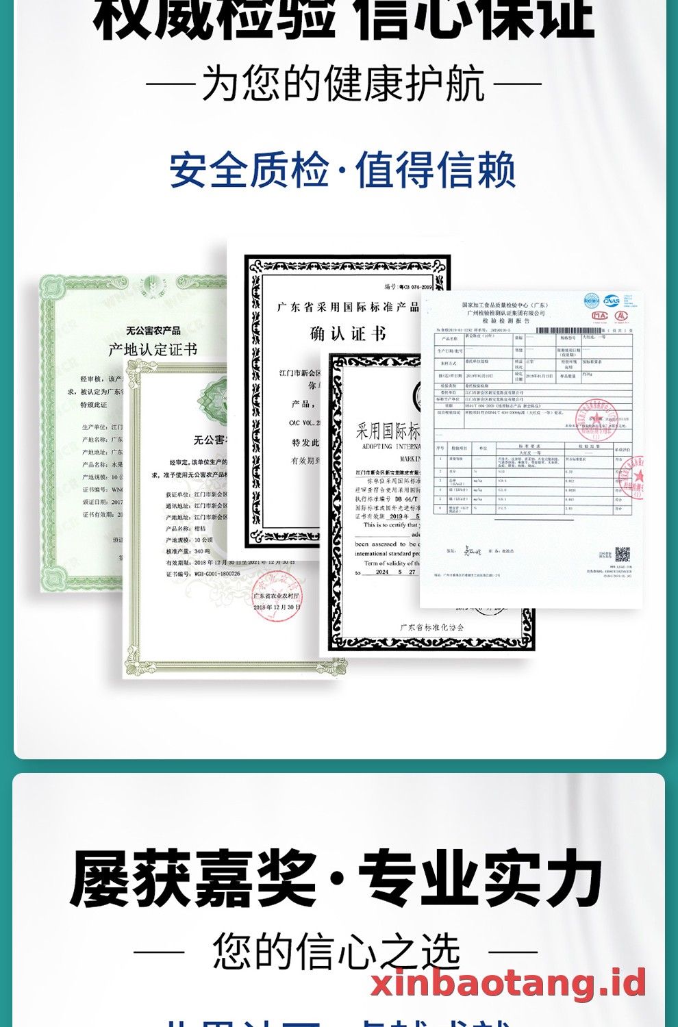 Xinbaotang Ganpu Teh Qing Pi Muda 15g