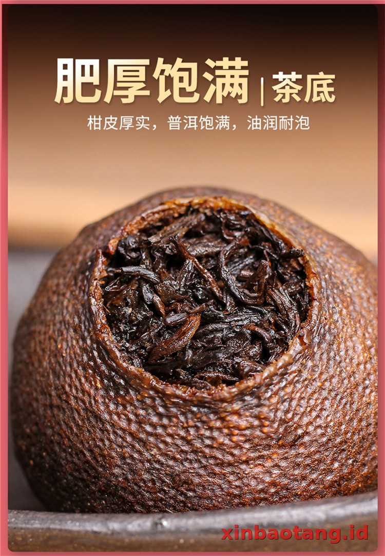 Xinbaotang Ganpu Teh Pu-erh 30g