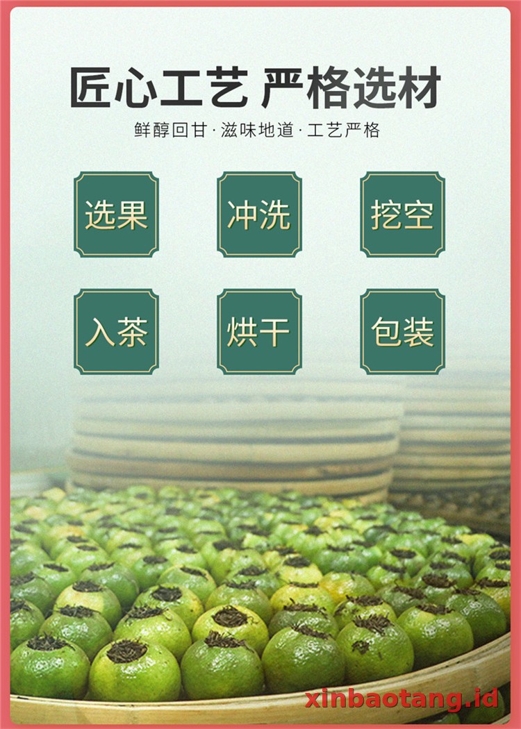 Xinbaotang Ganpu Teh Pu-erh 30g