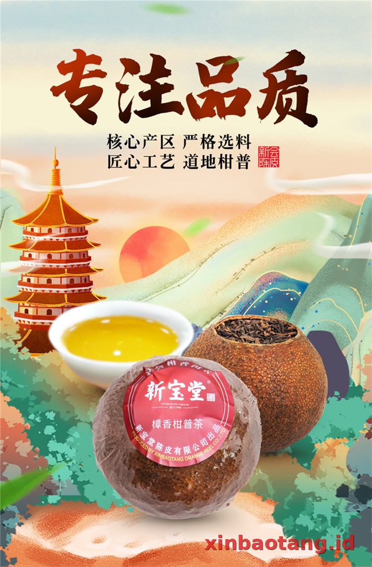 Xinbaotang Ganpu Teh Pu-erh 30g