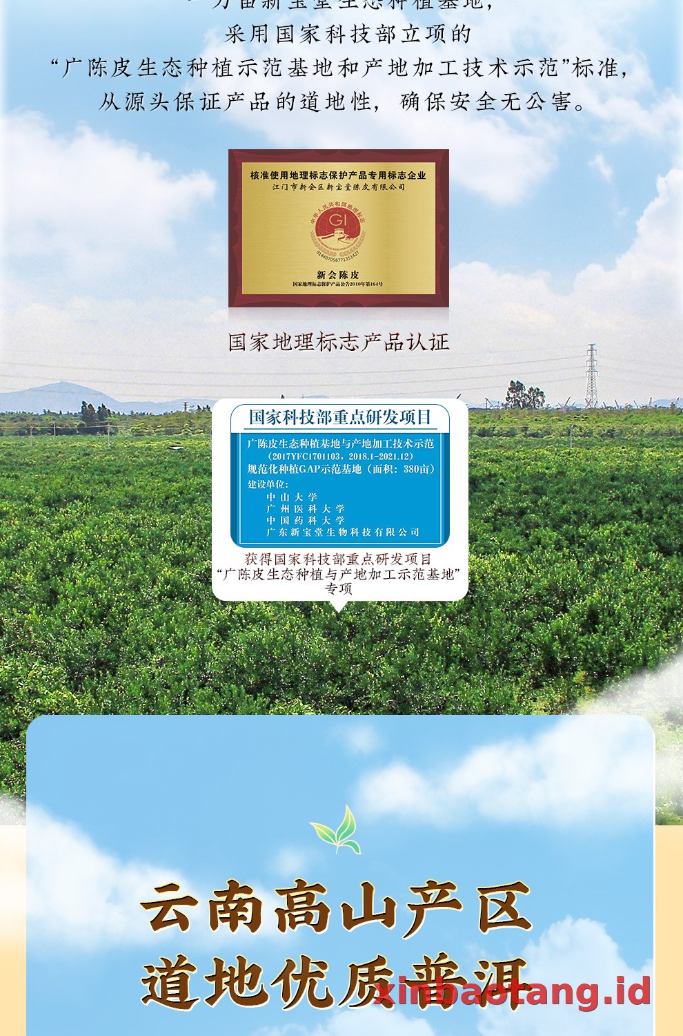 Xinbaotang Ganpu Teh Pu-erh Gift Box 200g
