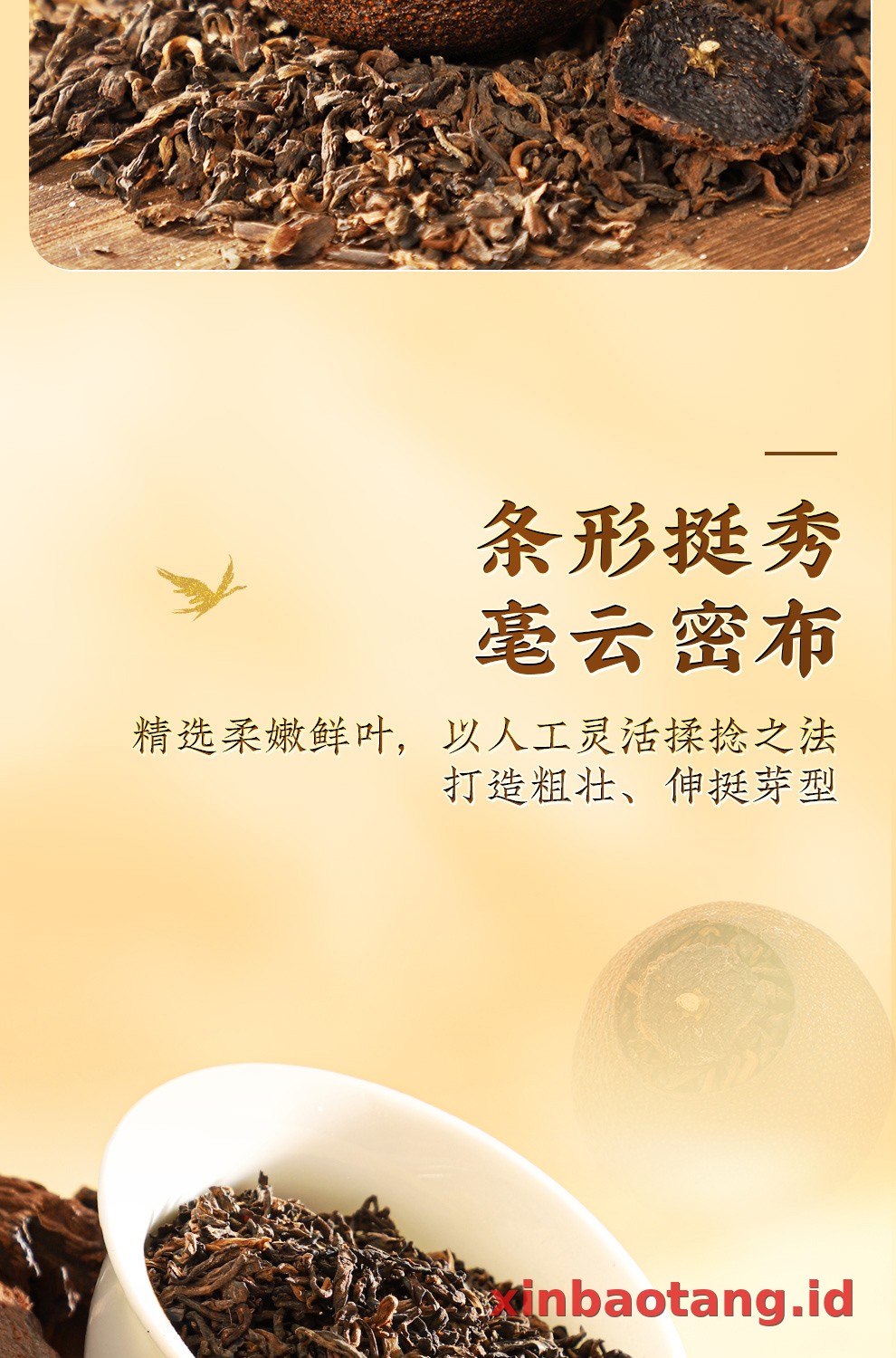 Xinbaotang Ganpu Teh Pu-erh Gift Box 200g