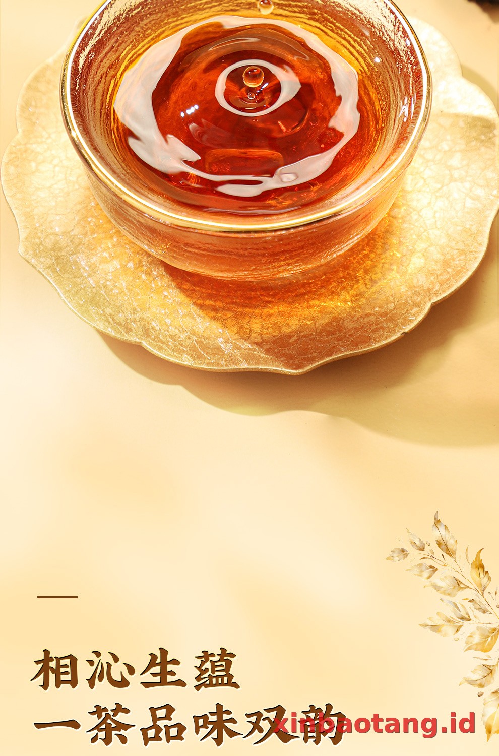 Xinbaotang Ganpu Teh Pu-erh Gift Box 200g