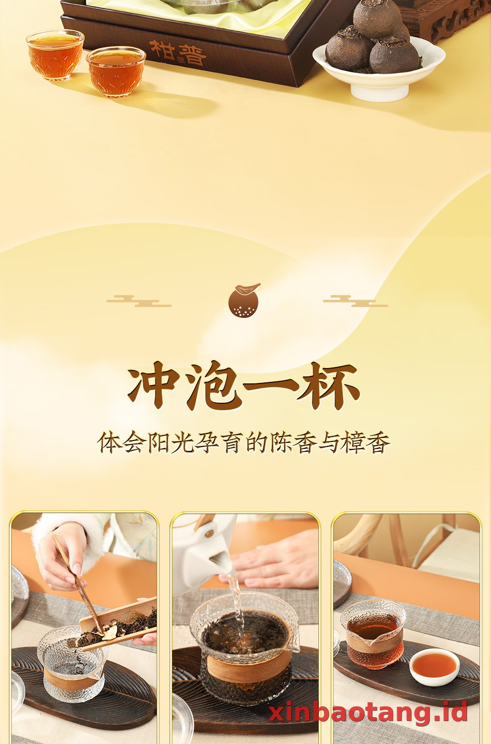Xinbaotang Ganpu Teh Pu-erh Gift Box 200g