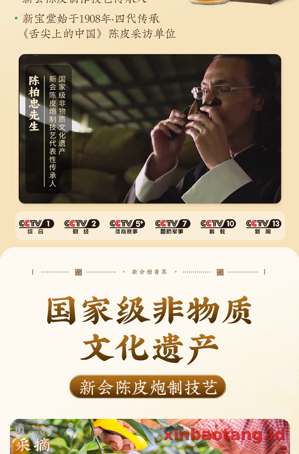 Xinbaotang Ganpu Teh Da Hong Gan Gift Box 360g