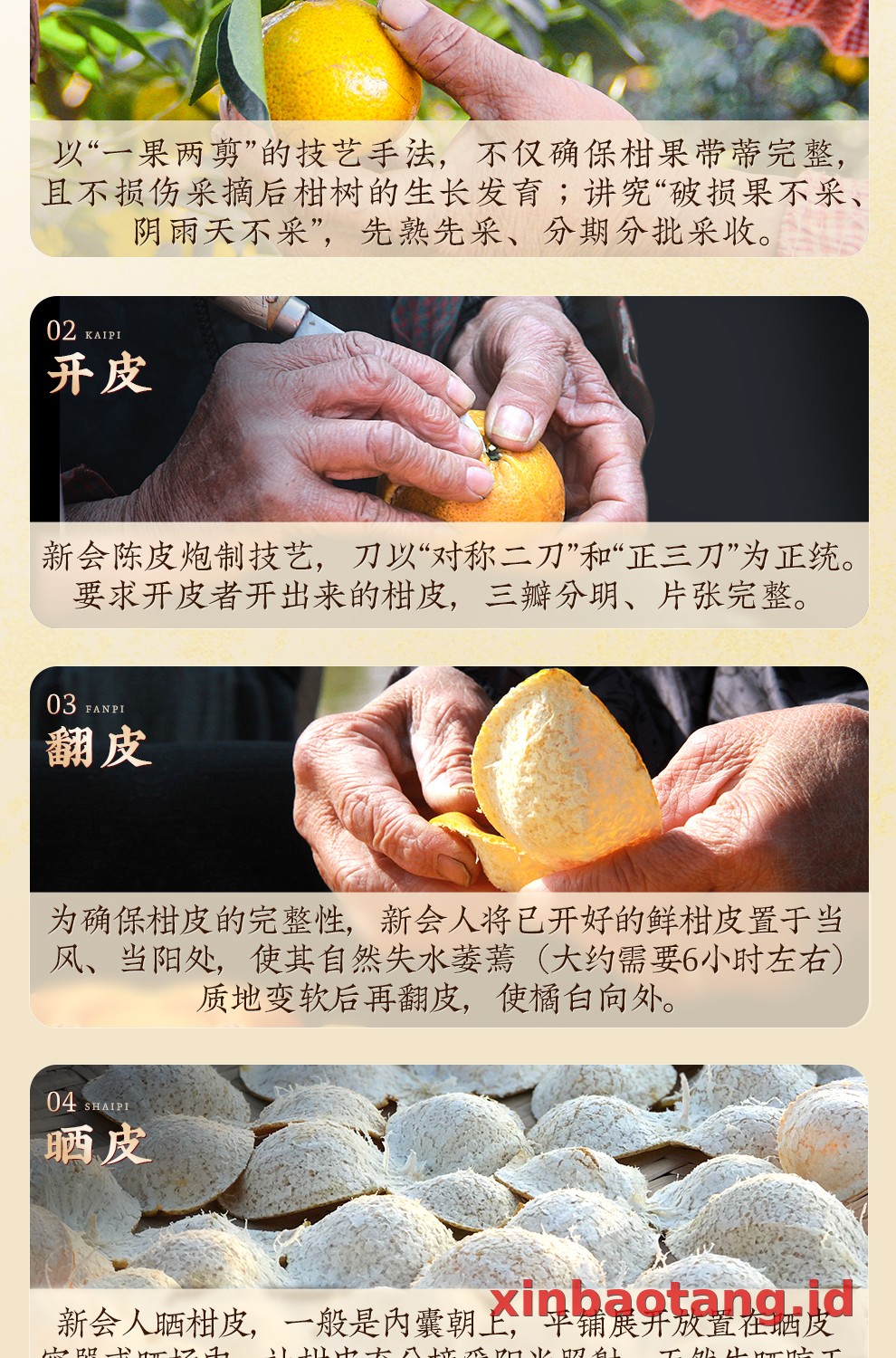 Xinbaotang Ganpu Teh Da Hong Gan Gift Box 360g