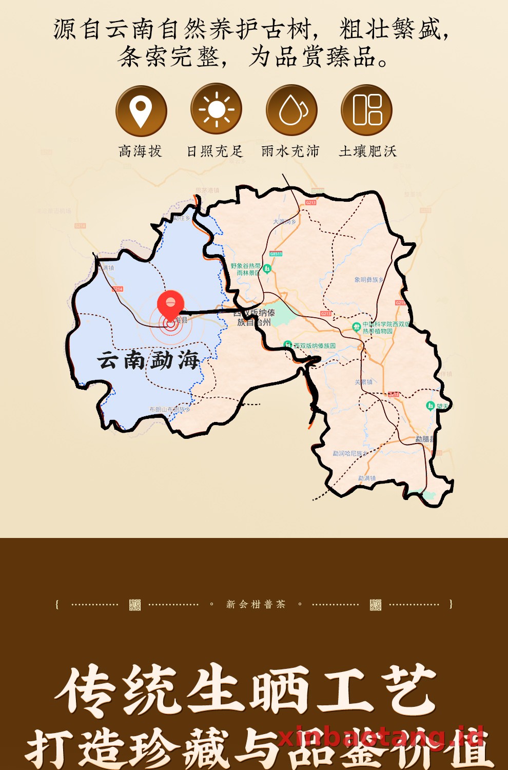 Xinbaotang Ganpu Teh Da Hong Gan Gift Box 360g