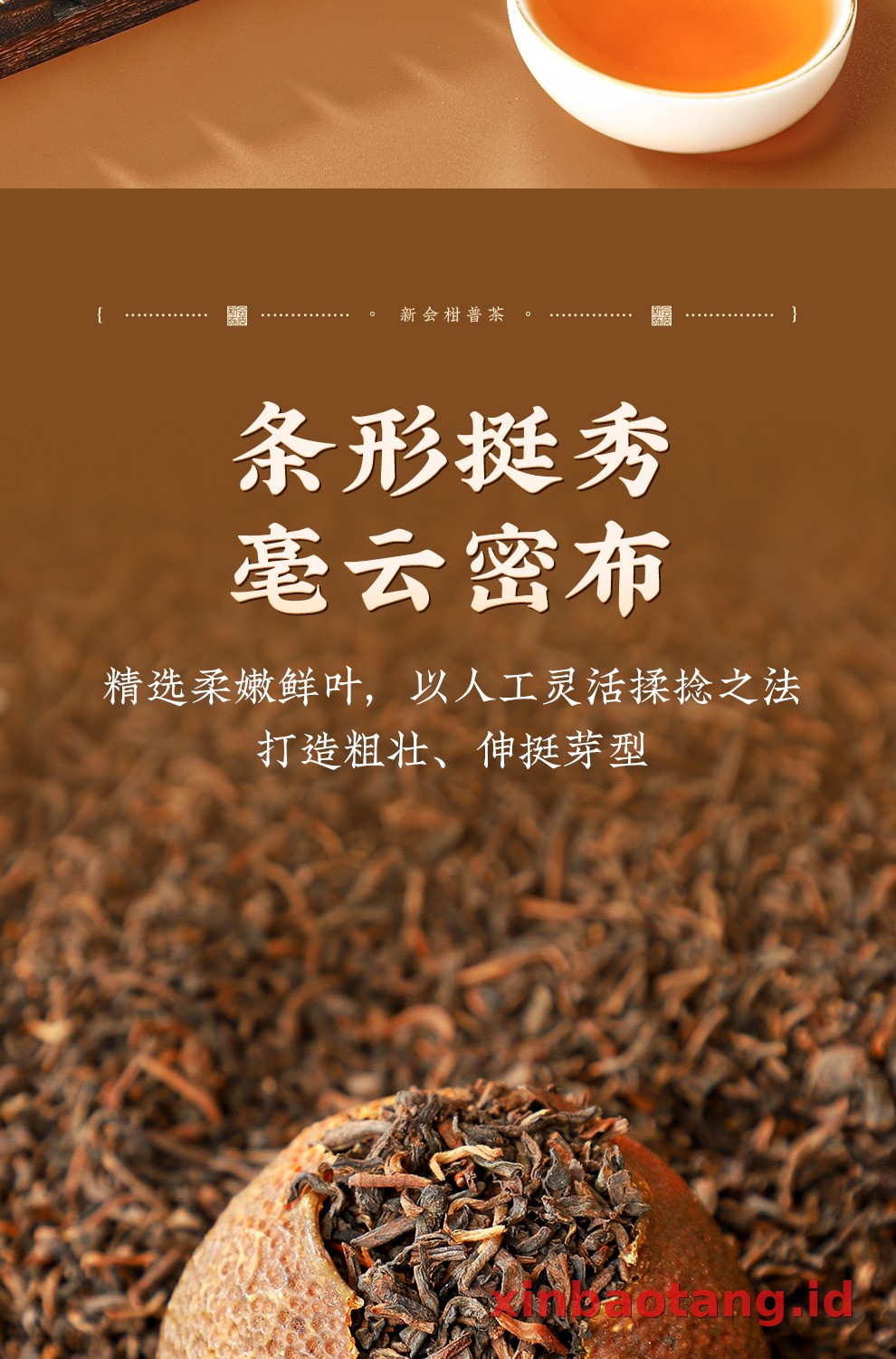 Xinbaotang Ganpu Teh Da Hong Gan Gift Box 360g
