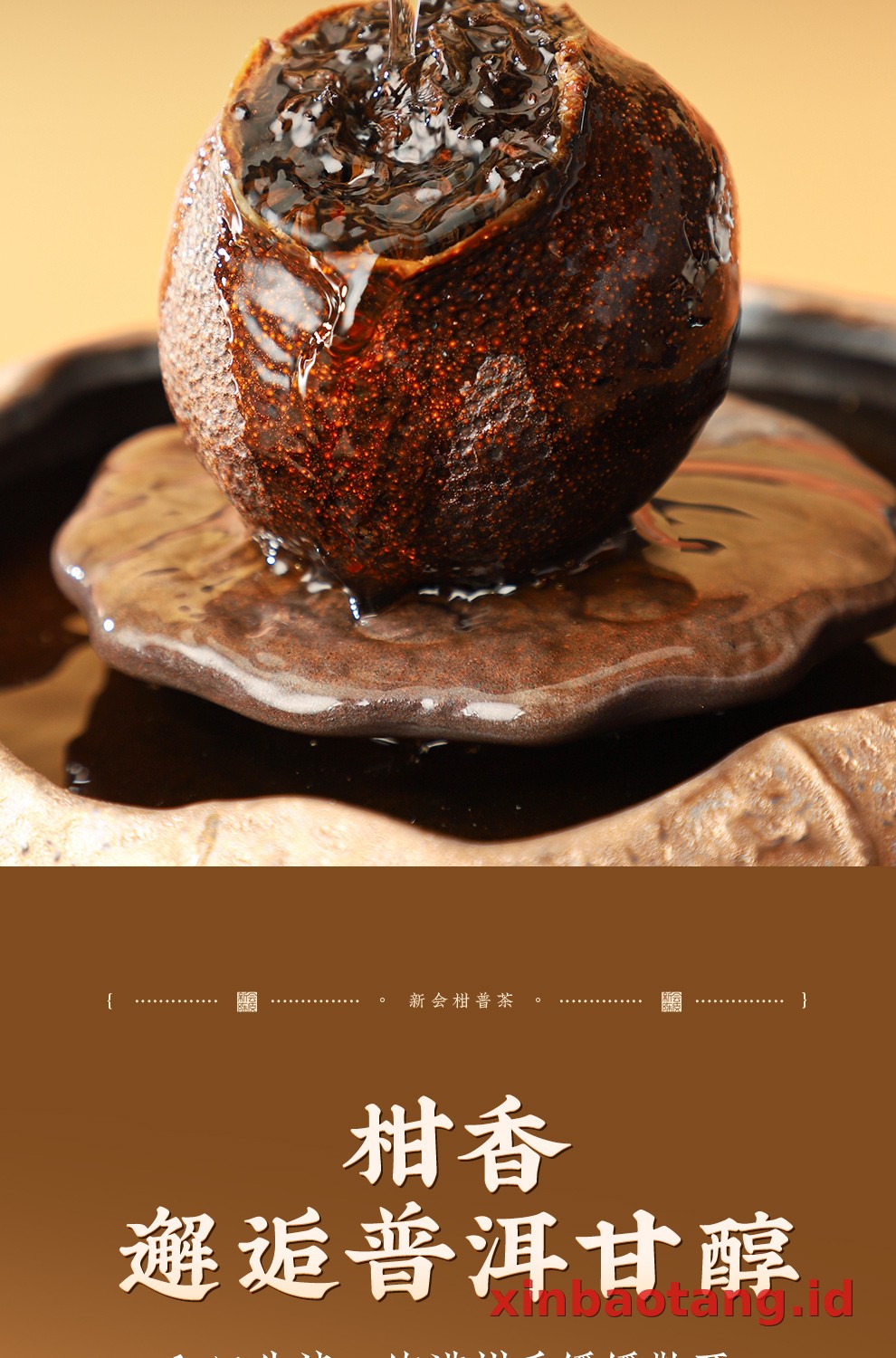 Xinbaotang Ganpu Teh Da Hong Gan Gift Box 360g