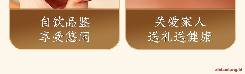 Xinbaotang Ganpu Teh Da Hong Gan Gift Box 360g