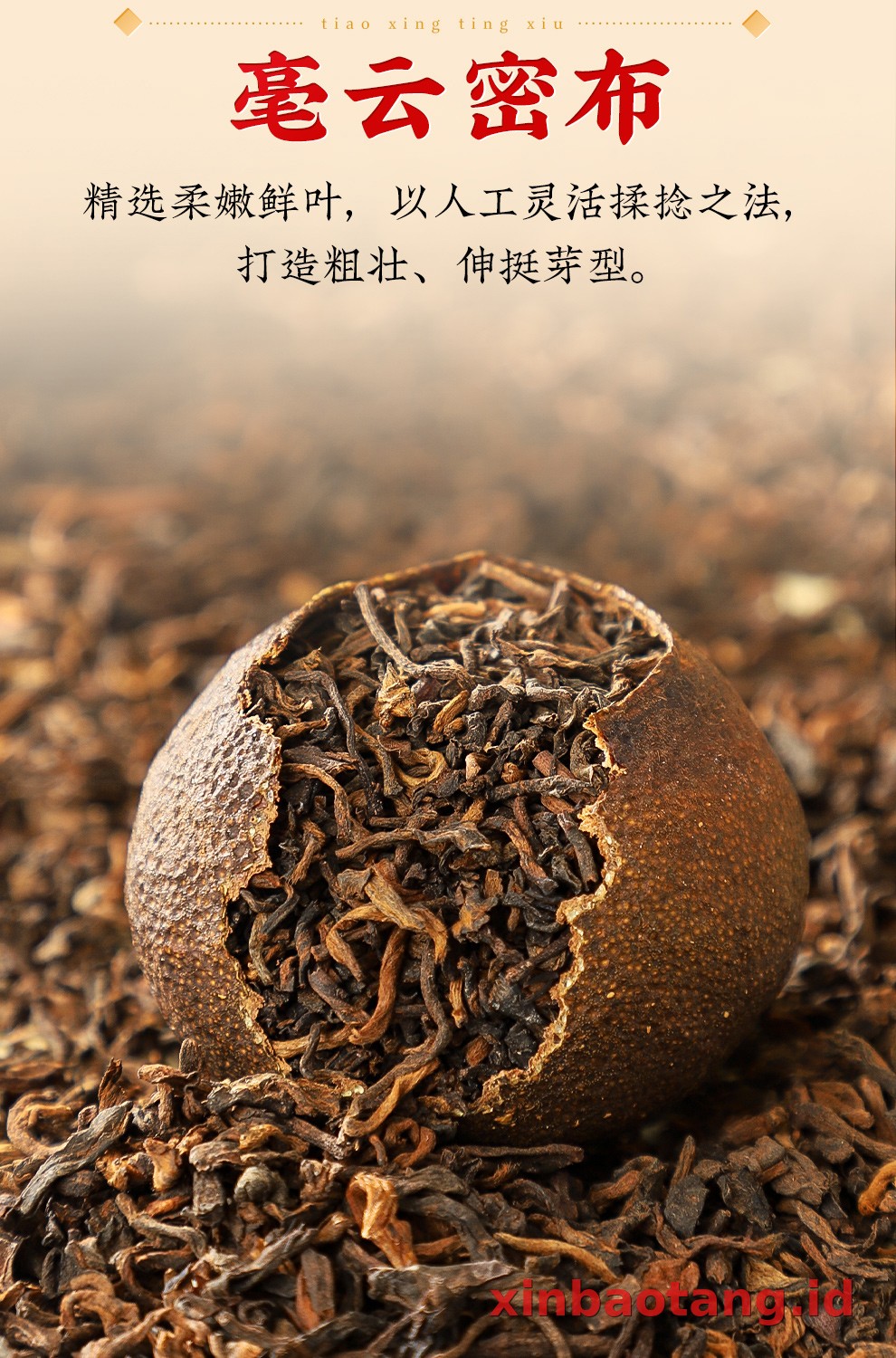 Xinbaotang Ganpu Teh Pu-erh Gift Box 180g