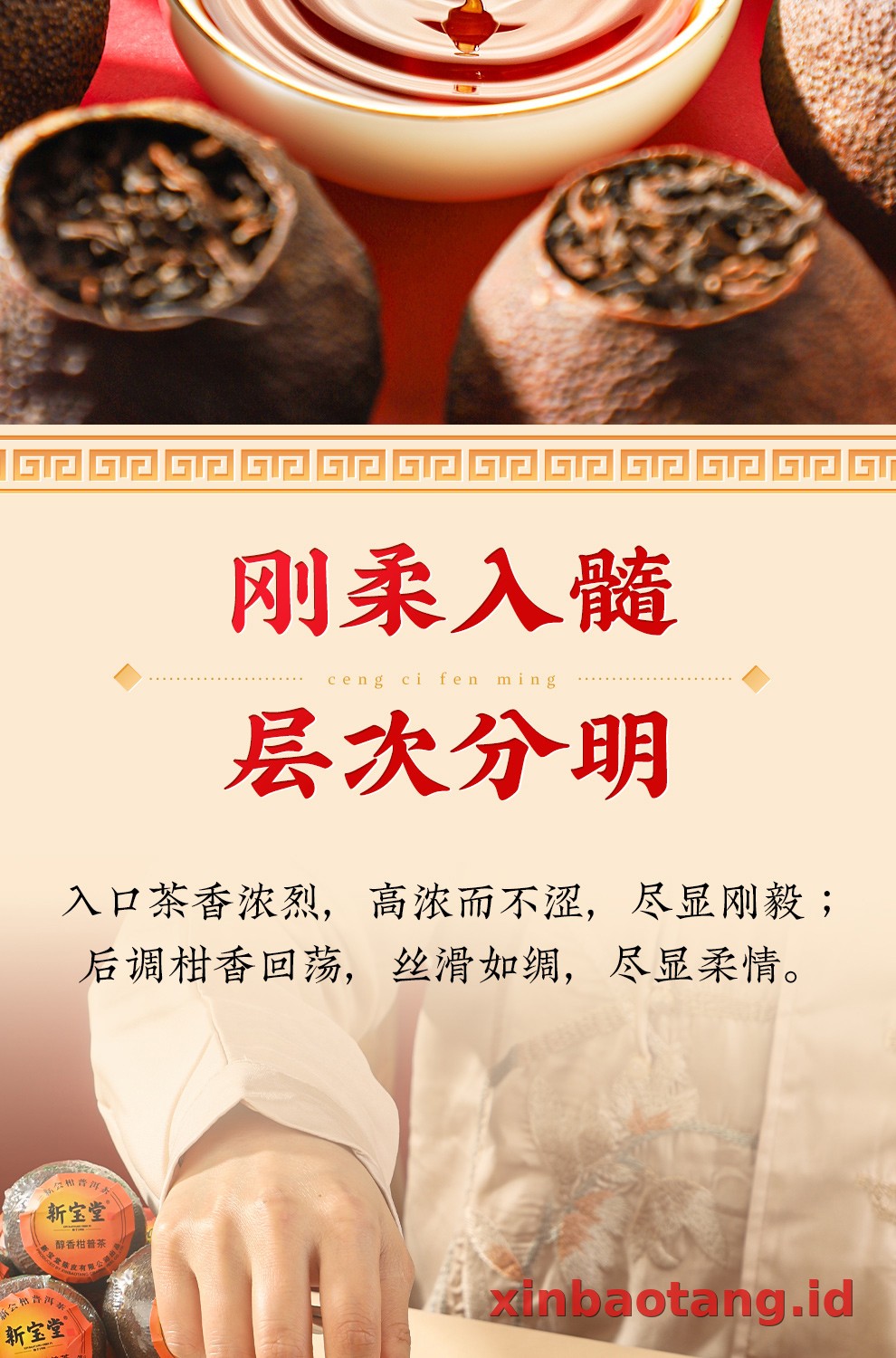 Xinbaotang Ganpu Teh Pu-erh Gift Box 180g